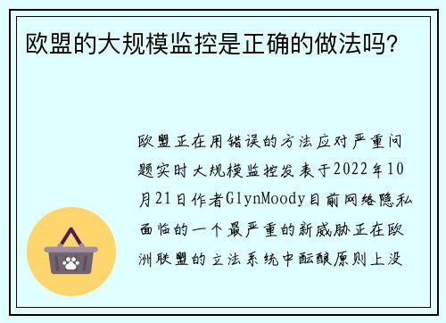 欧盟的大规模监控是正确的做法吗？